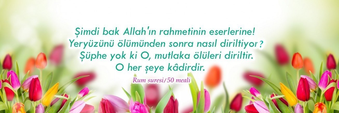 bahar_sesi's profile banner image