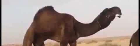 9No_comment_'s profile banner image