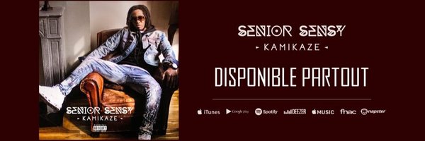 SensyStyle Profile Banner