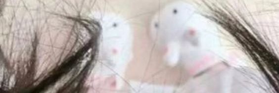にゃnya banner