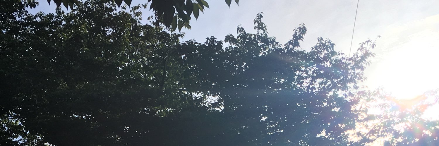 Qreha（紅澪刃） banner