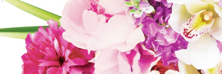 MymeroYui's profile banner image