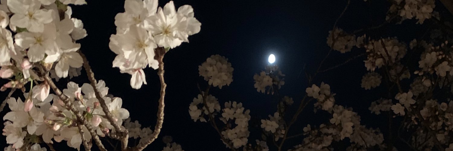 akiha_t's profile banner image