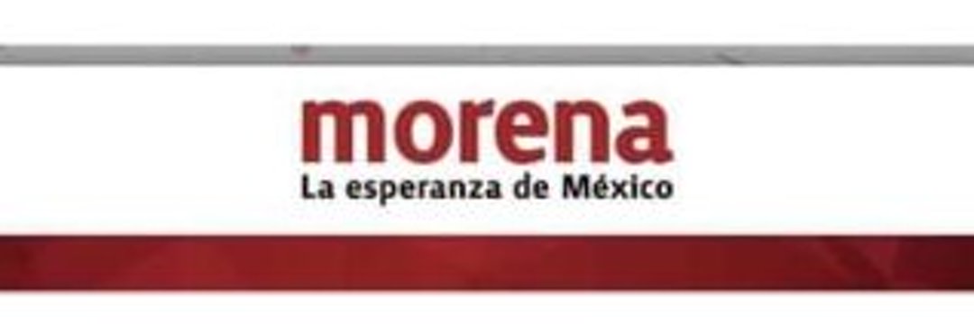 Ma. Guadalupe Molina R.'s banner