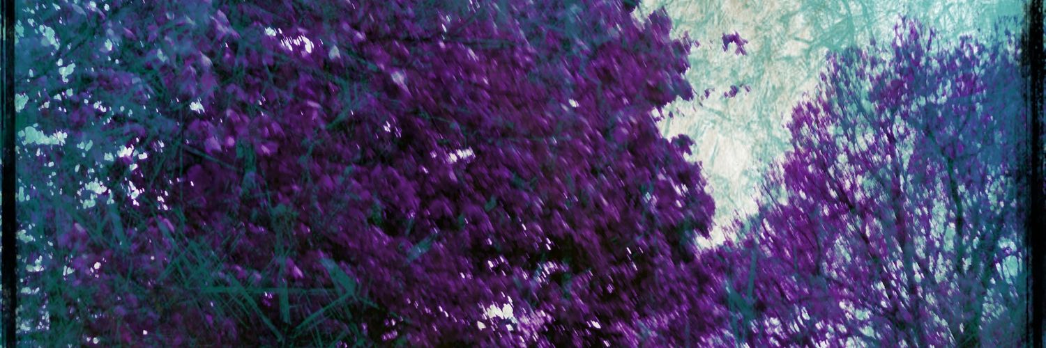 thompablosoap Free 🇵🇸 banner