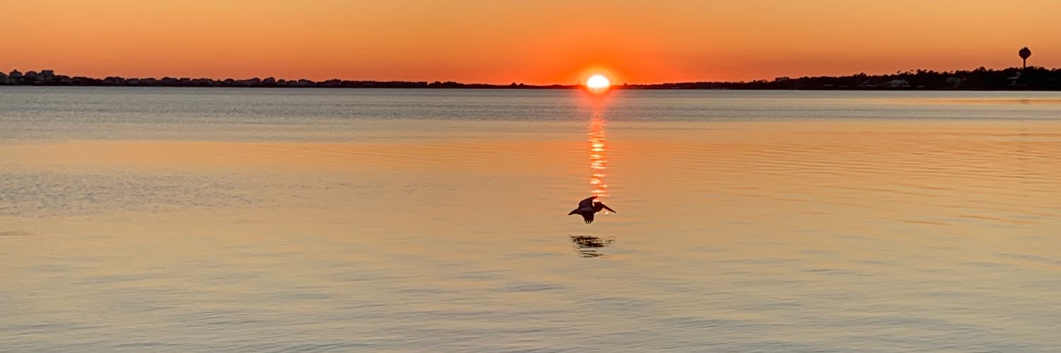 Michael McDaniel banner