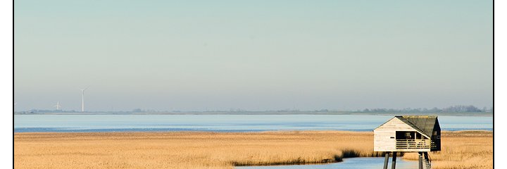 Rockpreach's profile banner image