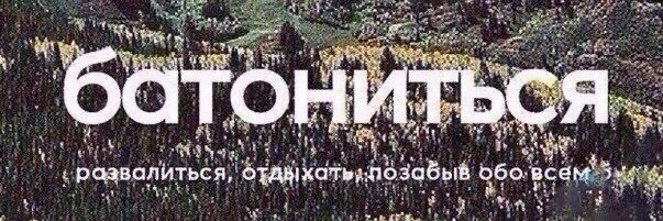 Я ТиВос и я люблю батониться banner