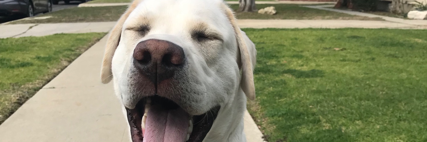 Carol Costello banner