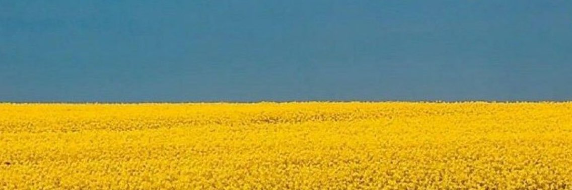 Dondog🇺🇦🇲🇳🇪🇺's banner