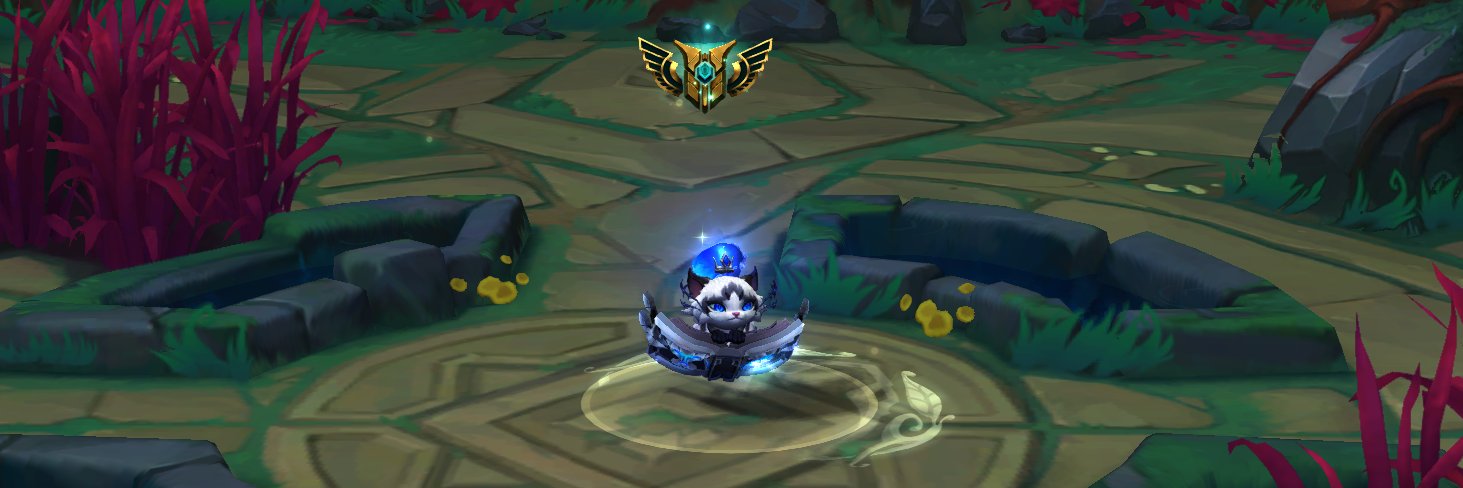 meow meow meow banner