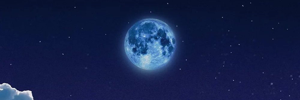 회장's banner