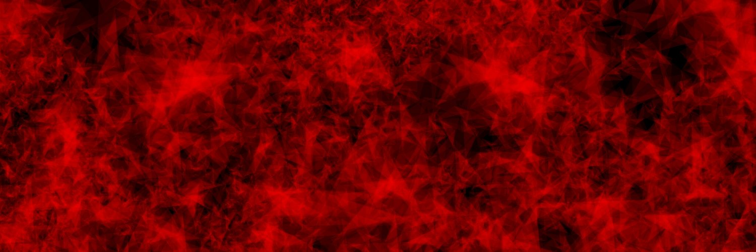 4echidna banner