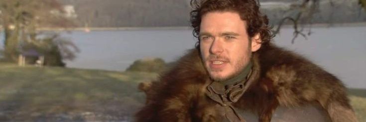 mia | sansa stark's lawyer's banner