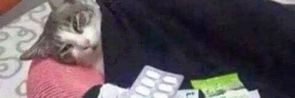 certified daughter of cain. banner