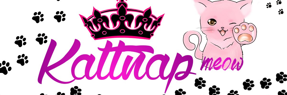kattnap671's profile banner image