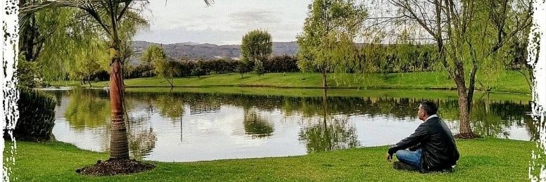 link_arg's profile banner image