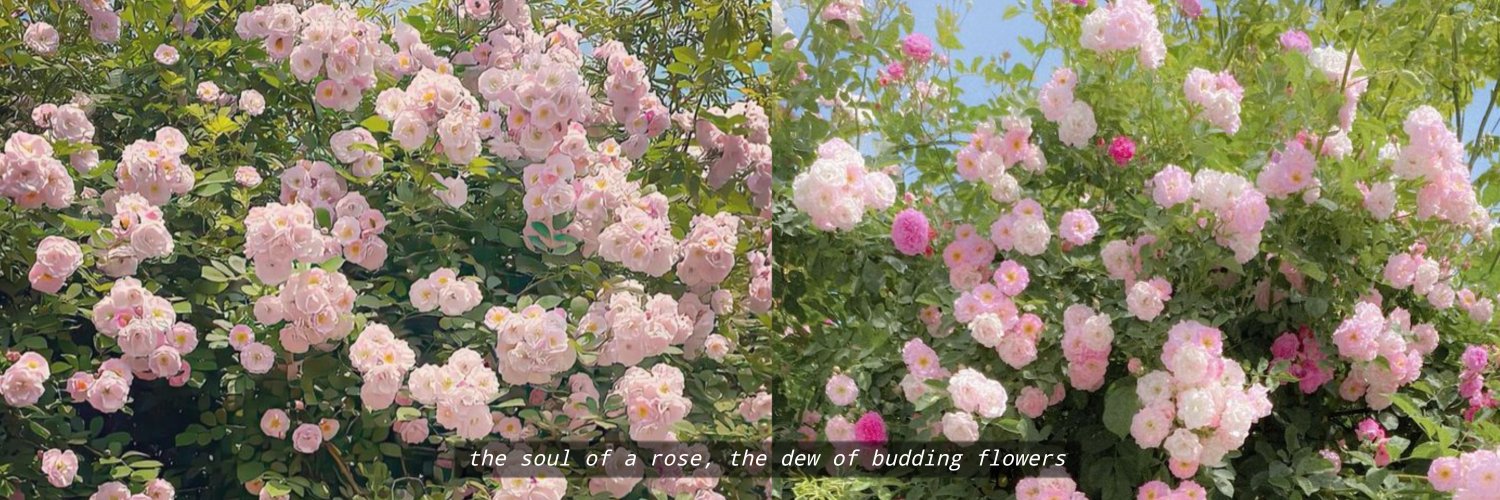 𝓩 ; @ 𝐚𝐟𝐭𝐞𝐫 𝐝𝐦! 💌 banner