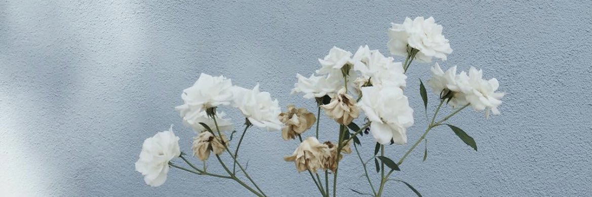 MariamF__'s profile banner image