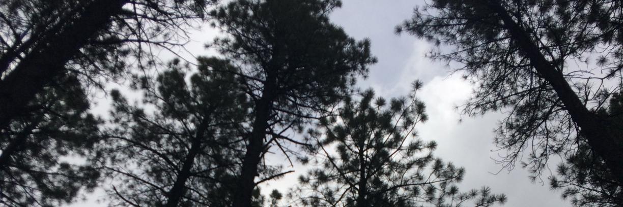 shhhaffer's profile banner image