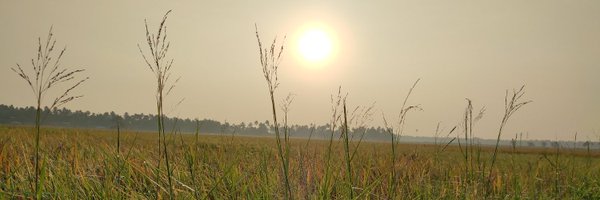 KrishnaKDas6 Profile Banner