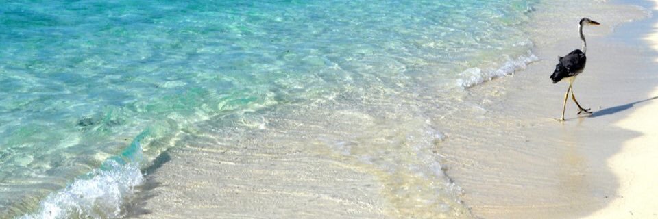TheNextEscape's profile banner image