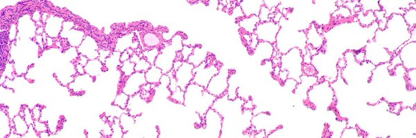 KingsResp Profile Banner