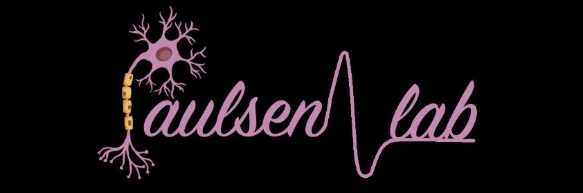 Candie Paulsen Lab banner