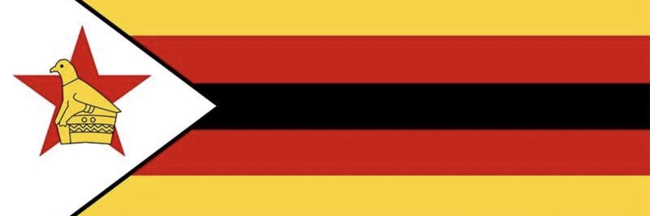 Mhonga🇿🇼's banner