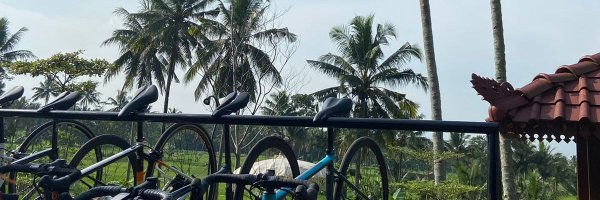 nywhyone Profile Banner