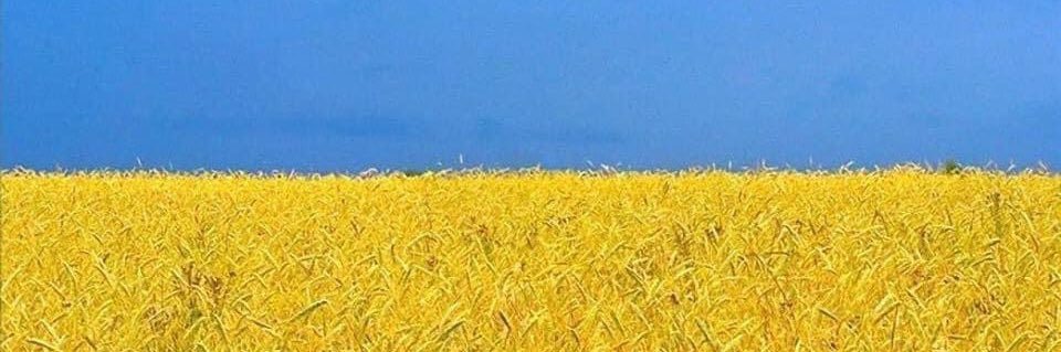 D LD 🇺🇦 🏳️‍🌈 banner