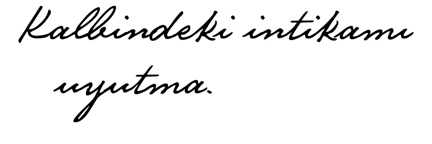 𐰃𐰯𐰀𐰚 🇹🇷 banner
