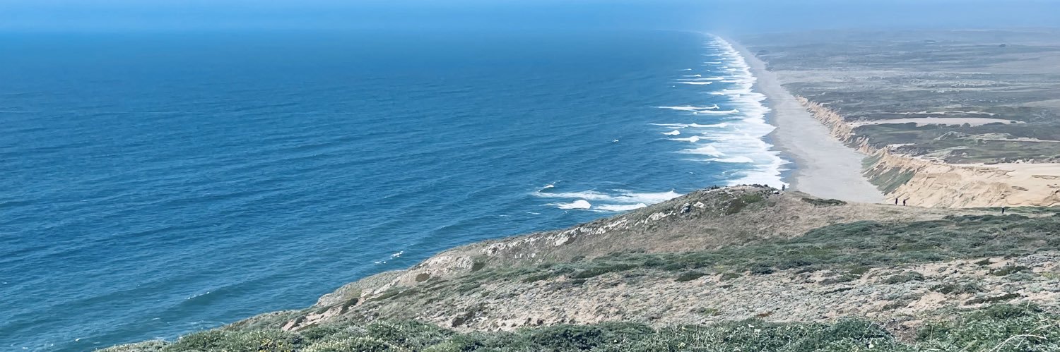 Serena Alexander banner