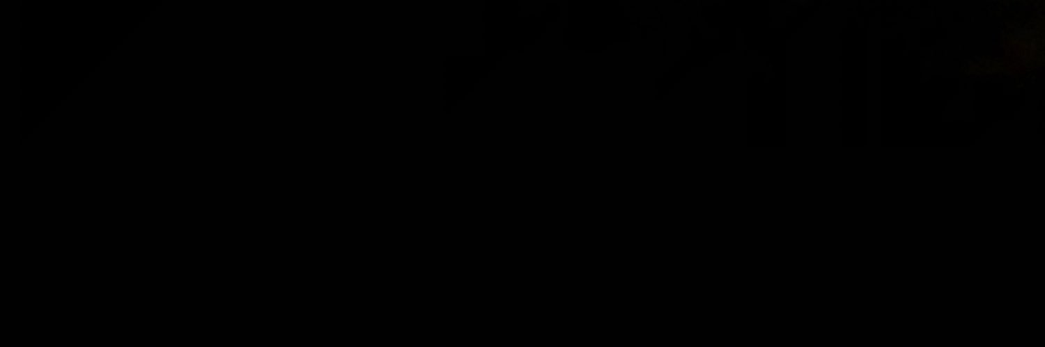 tylerfiesta's profile banner image