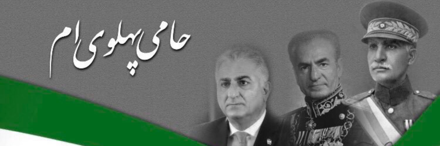 Shaheen Shirazi's banner