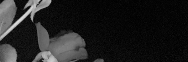 badluckmel_ Profile Banner