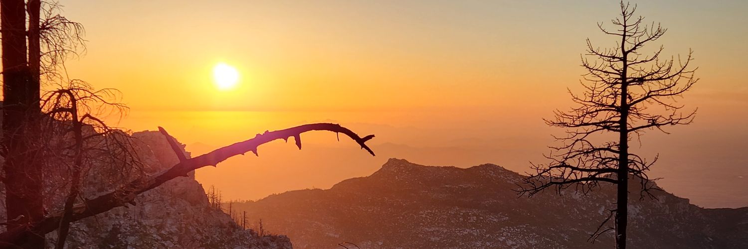 BottomS_Media's profile banner image