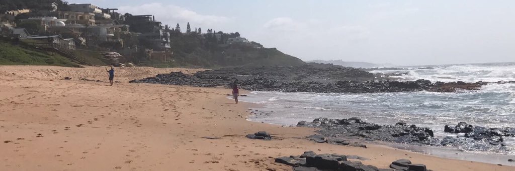 PetraGrove's profile banner image
