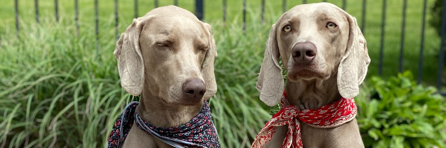 Jeffrey Carbonella, MD banner