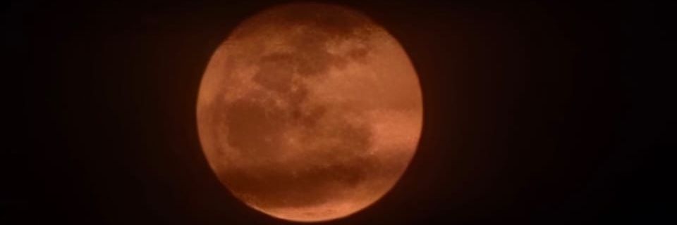 frank4_88's profile banner image