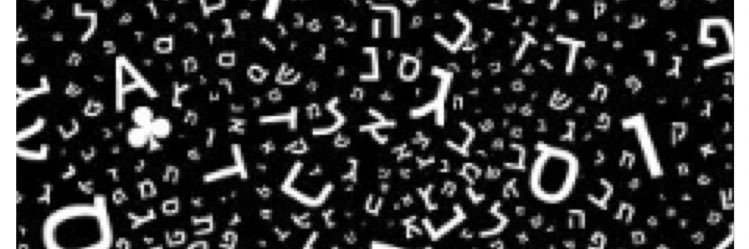 אמיר שפרלינג's banner