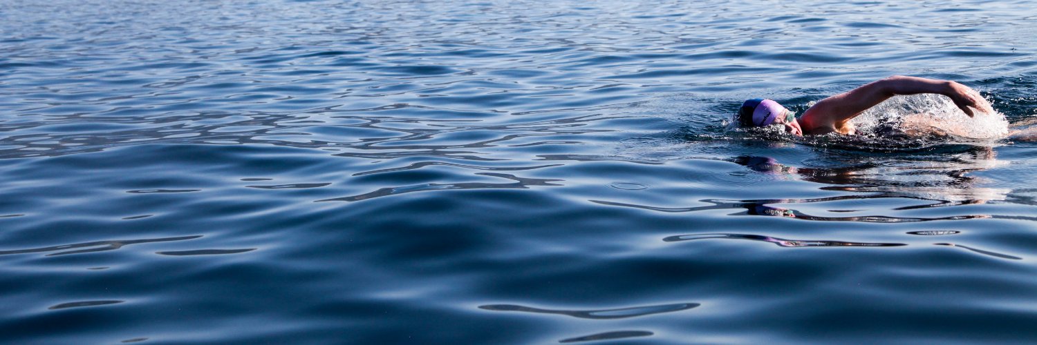 Heather Bischel banner