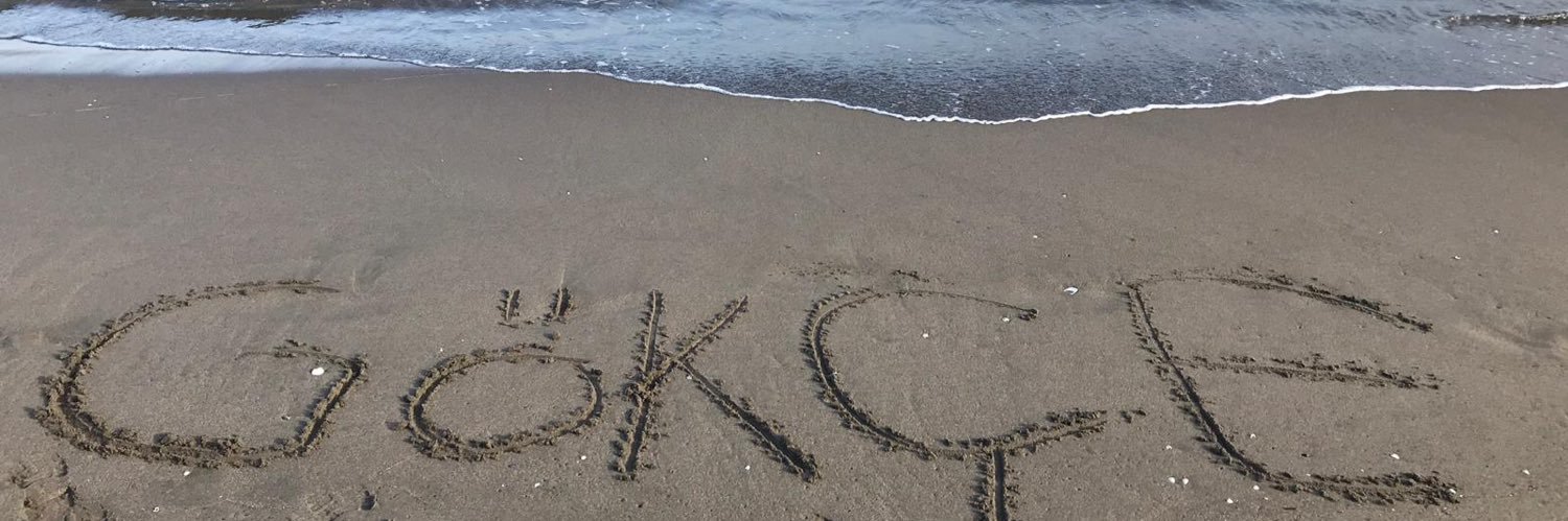 ikincigokce's profile banner image