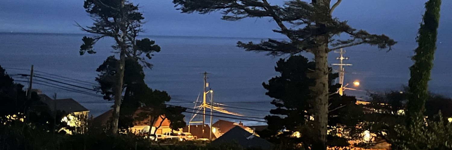 Blue Jay 🍉 #1 Kira JRWI liker banner