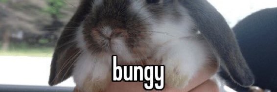 mashed potatoes anonymous banner