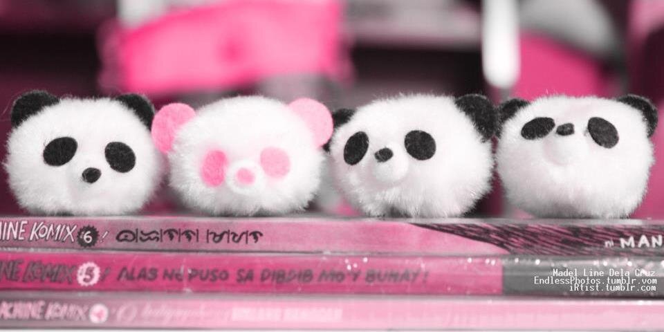 Spring_Jess's profile banner image