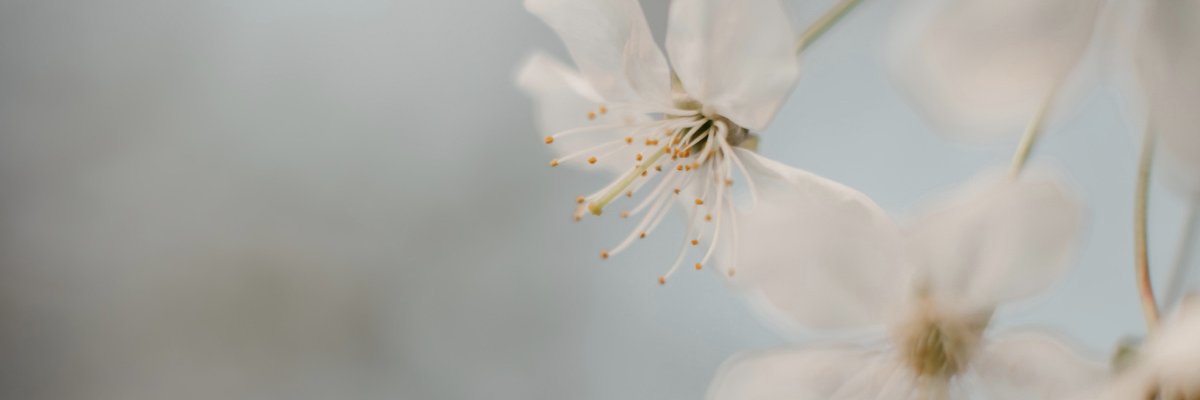 EPhotostories's profile banner image