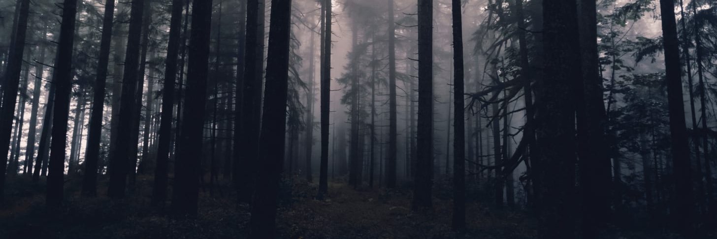 Once Upon the Weird banner
