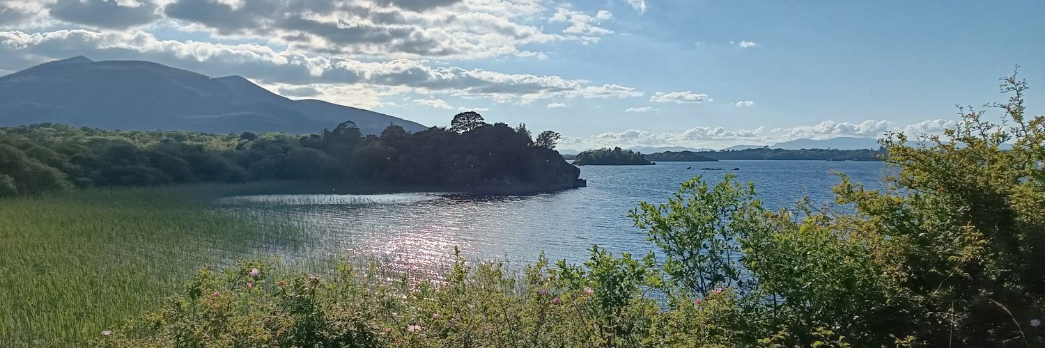 Mohammed Sabry banner