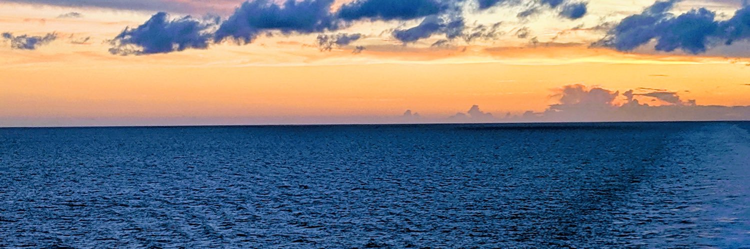 plumcrazy1973's profile banner image